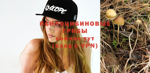 метадон Армянск