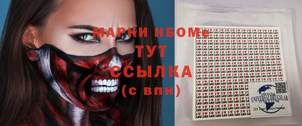 ешки Аркадак