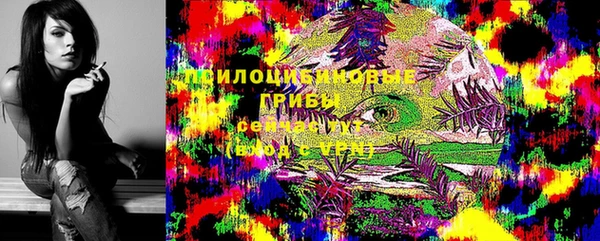 метадон Армянск