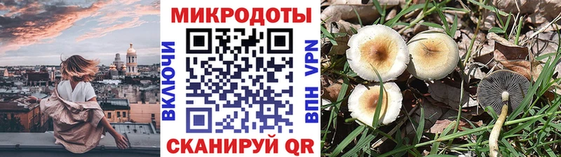 Галлюциногенные грибы Cubensis Бузулук